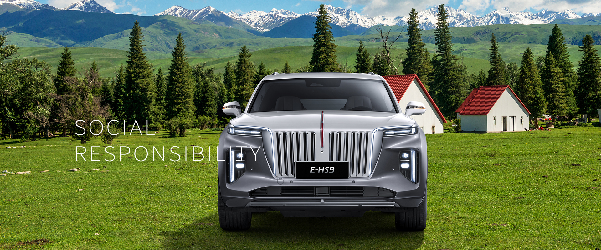 page social hongqi armenia
